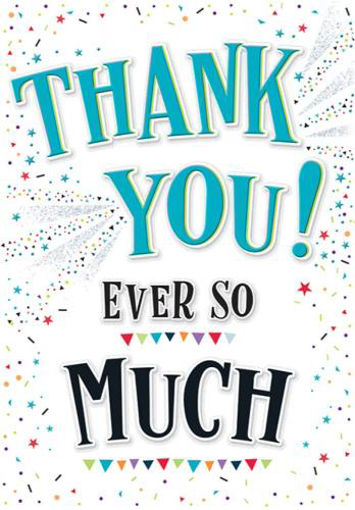 Picture of THANK YOU EVER SO MUCH CARD